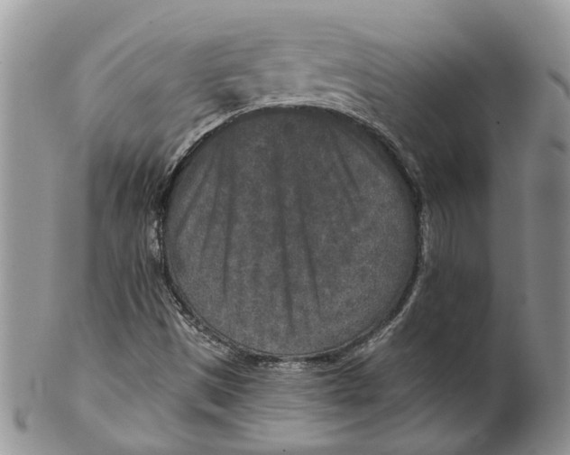 X0000099501497200806051110