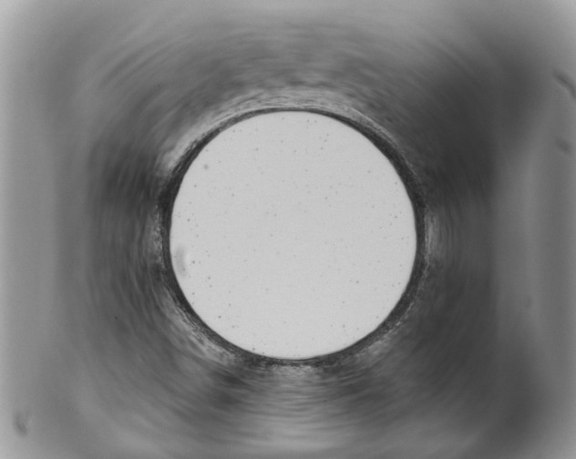 X0000099501498200806051110