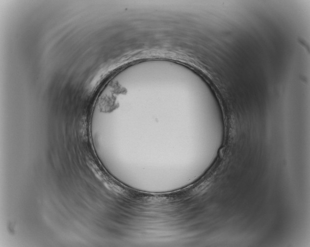 X0000099501499200806051110