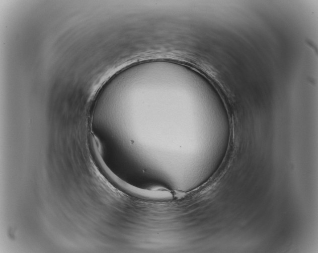 X0000099501500200806051110