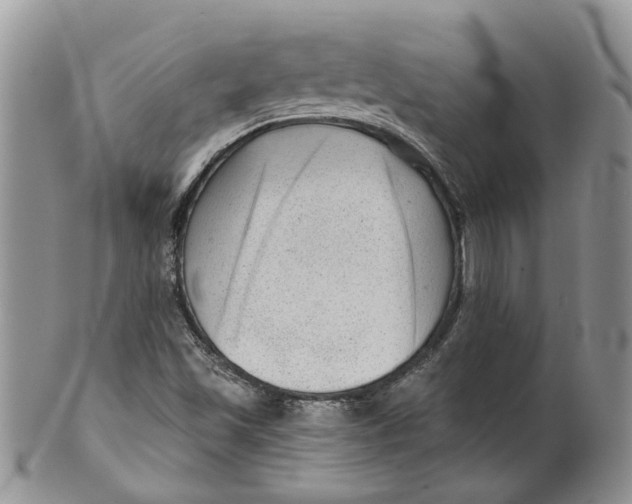 X0000099501501200806051110