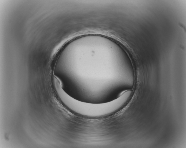 X0000099501502200806051110