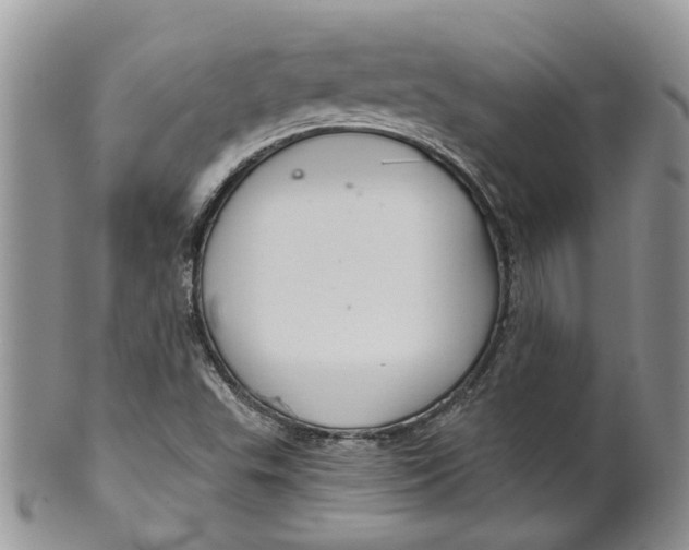 X0000099501503200806051110