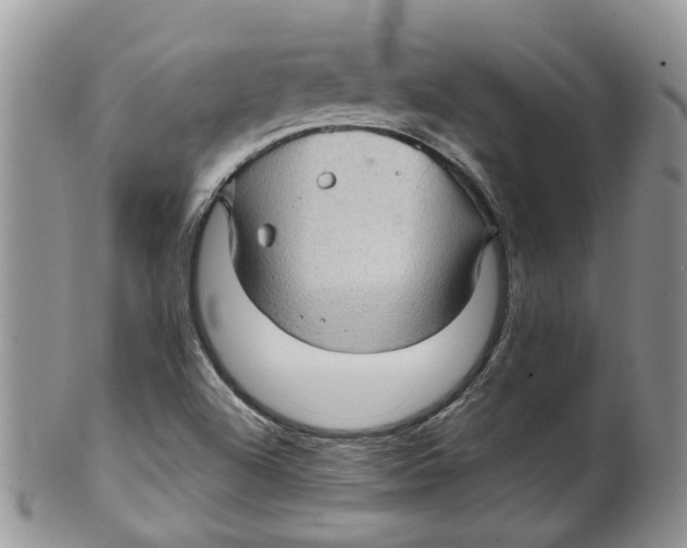 X0000099501504200806051110