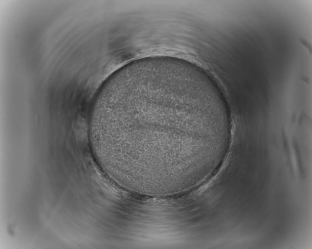 X0000099501505200806051110