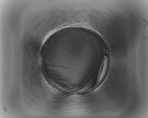 X0000099501506200806051110