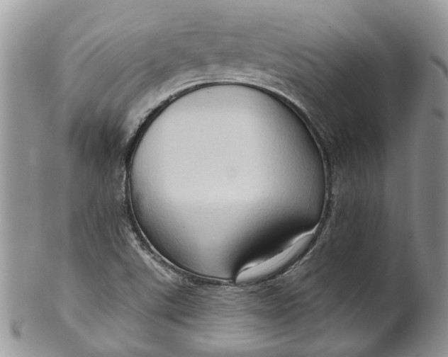 X0000099501507200806051110