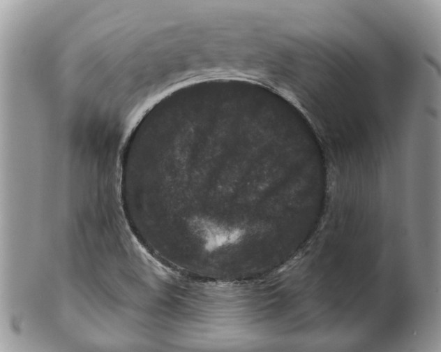 X0000099501508200806051110