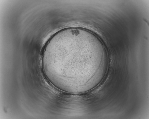 X0000099501509200806051110