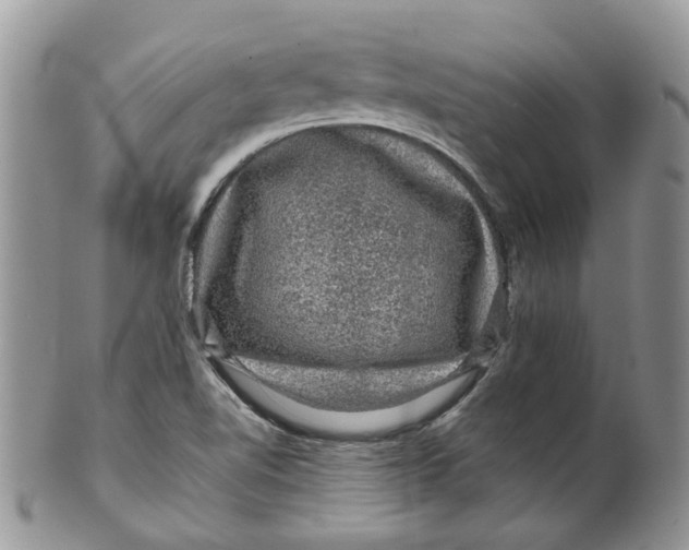 X0000099501510200806051110