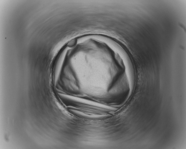 X0000099501511200806051110