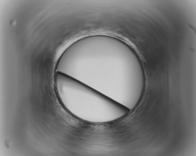 X0000099501512200806051110