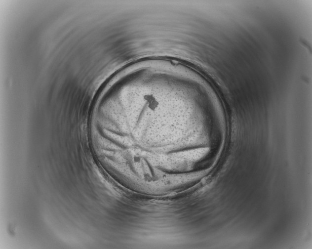 X0000099501513200806051110