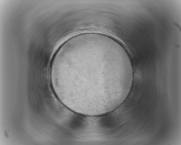 X0000099501514200806051110