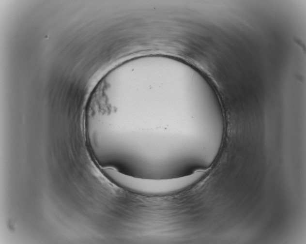 X0000099501516200806051110