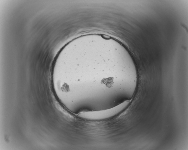 X0000099501518200806051110