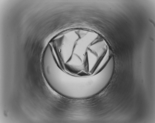 X0000099501519200806051110