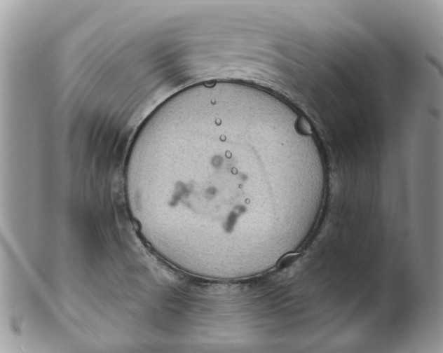 X0000099501521200806051110