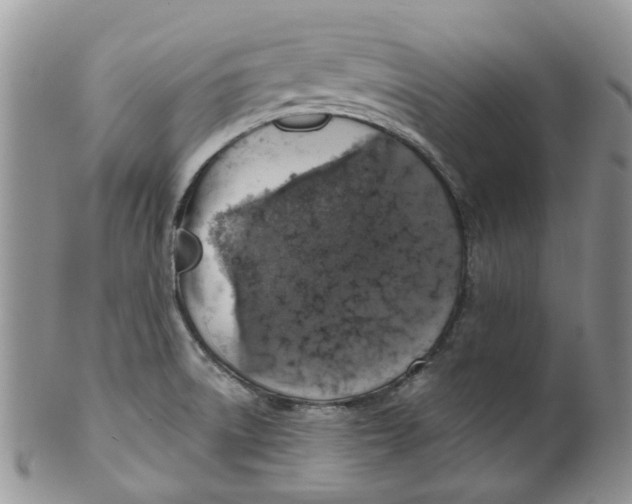 X0000099501522200806051110