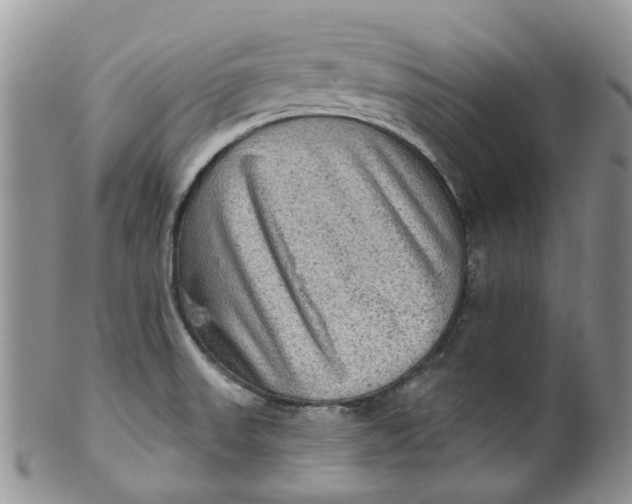 X0000099501523200806051110