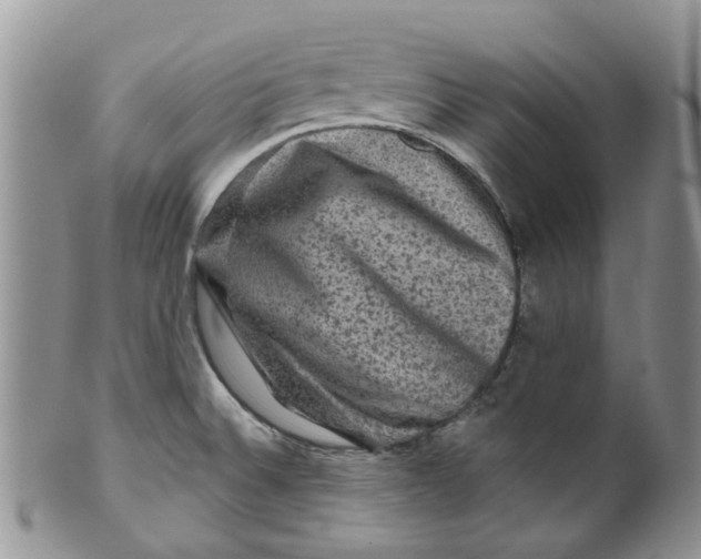 X0000099501524200806051110