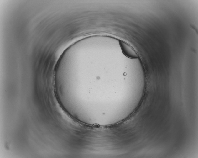 X0000099501526200806051110