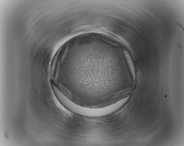 X0000099501528200806051110