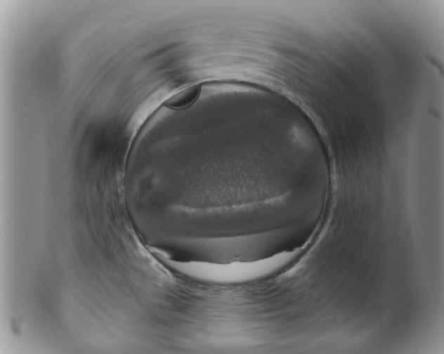 X0000099501529200806051110