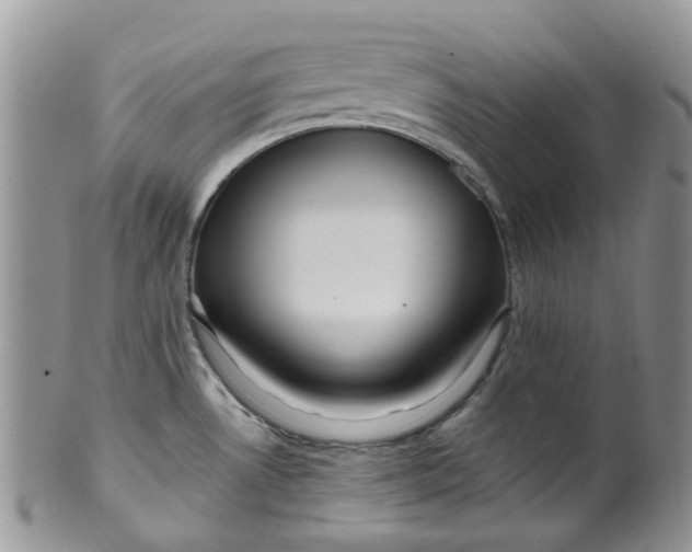 X0000099501530200806051110