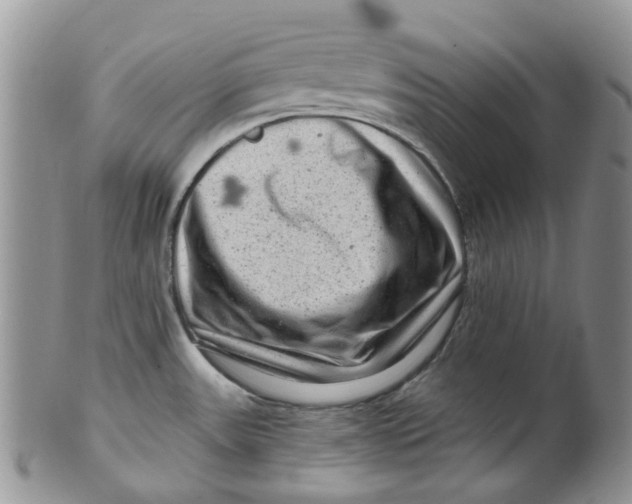 X0000099501531200806051110