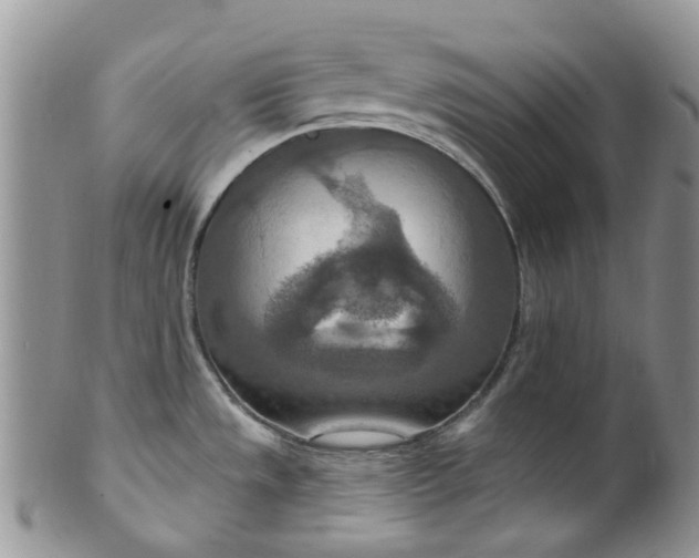 X0000099501533200806051110