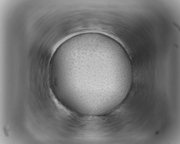 X0000099501534200806051110