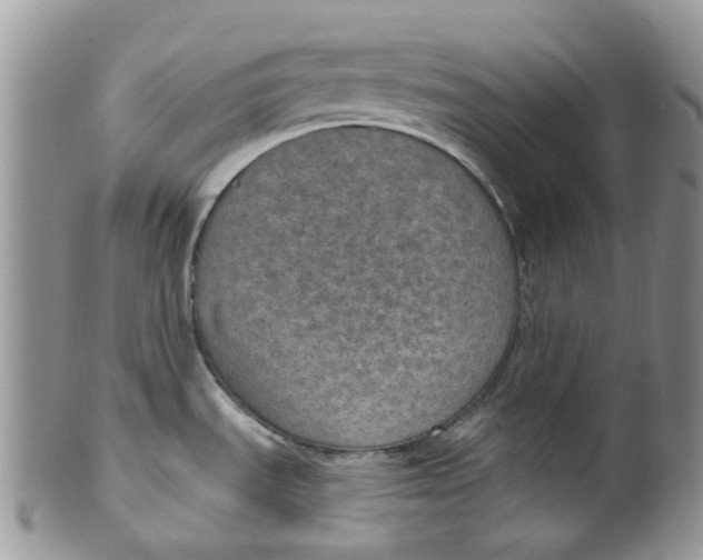 X0000099501535200806051110