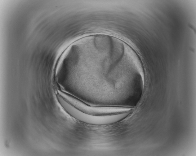 X0000099501536200806051110