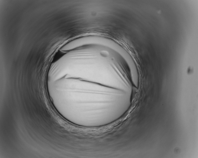 X0000099500001200806121426