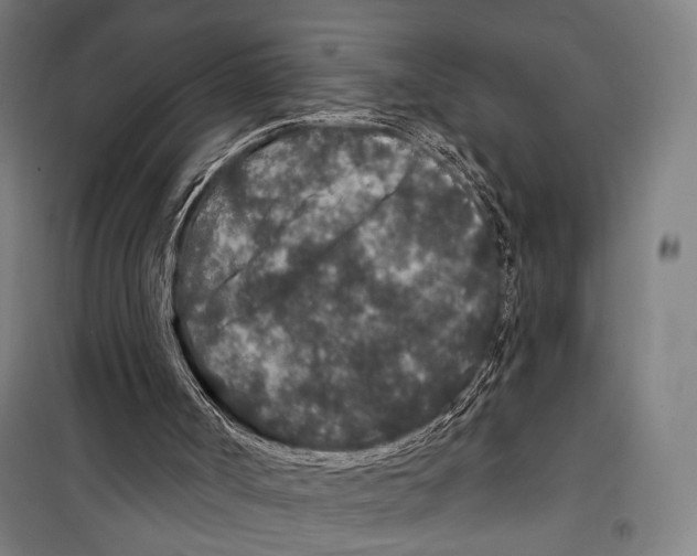 X0000099500002200806121426