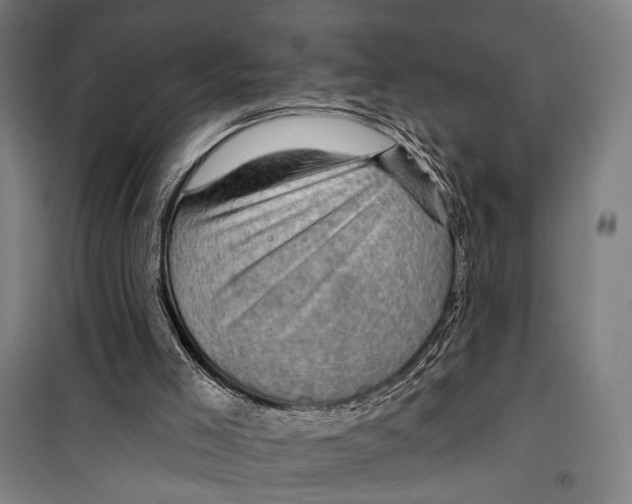 X0000099500005200806121426