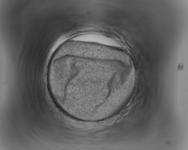 X0000099500006200806121426