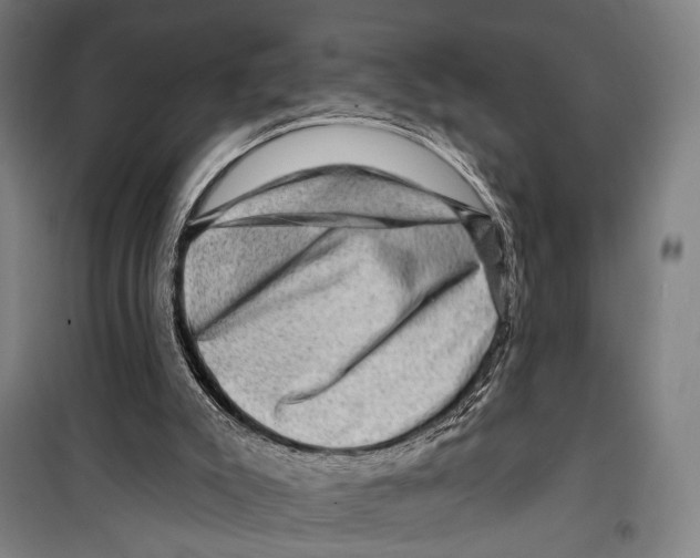 X0000099500007200806121426