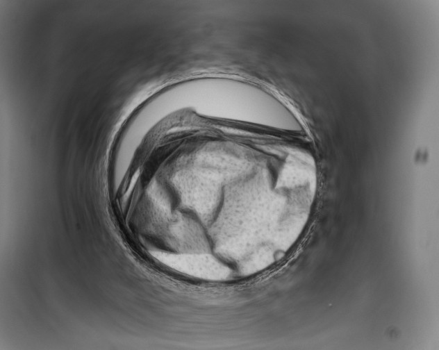 X0000099500008200806121426