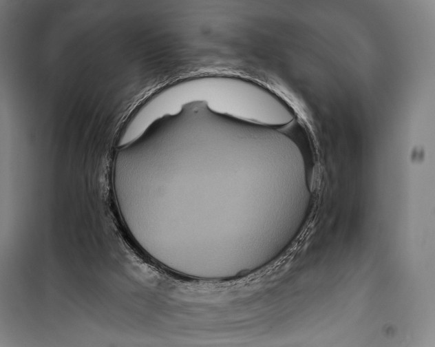 X0000099500009200806121426