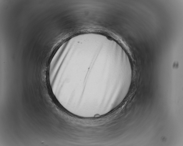 X0000099500010200806121426