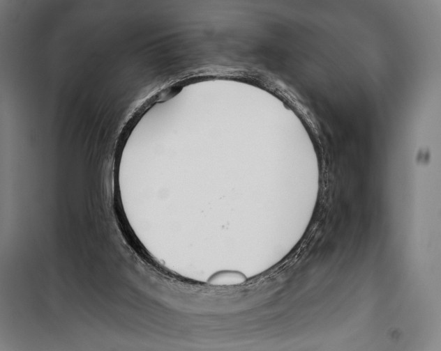 X0000099500011200806121426