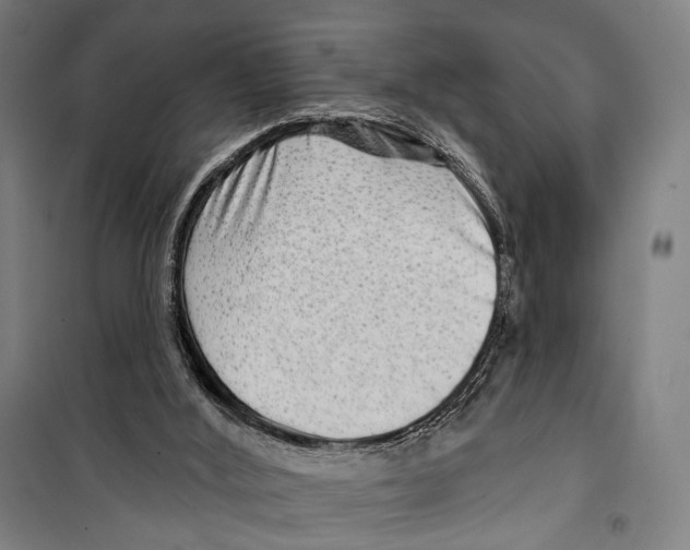 X0000099500012200806121426