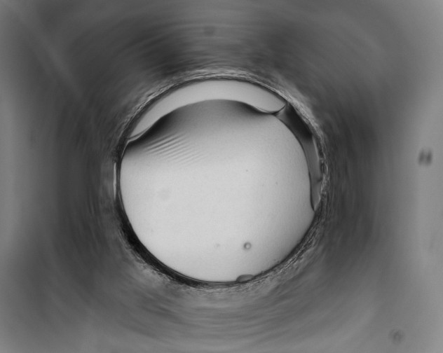 X0000099500013200806121426