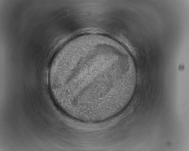 X0000099500014200806121426