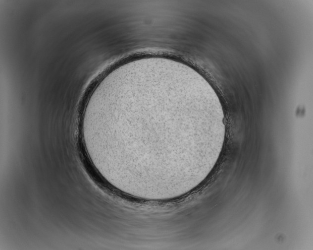 X0000099500016200806121426