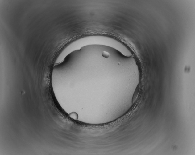 X0000099500017200806121426