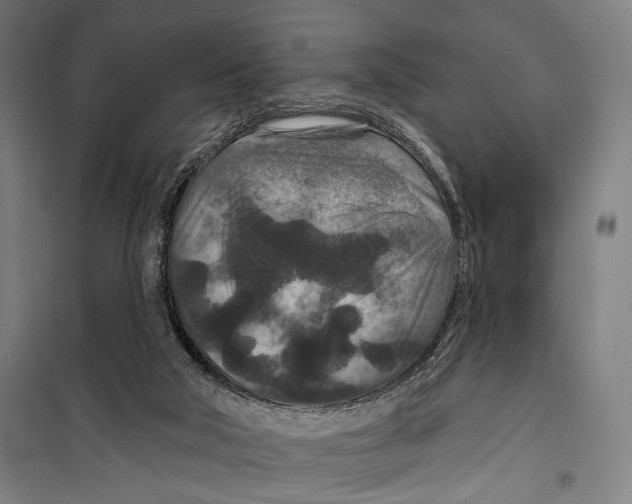 X0000099500018200806121426