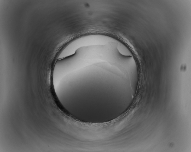 X0000099500019200806121426